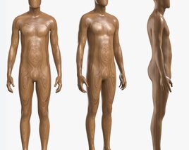 Male Full Body Mannequin Wooden 3D 모델 