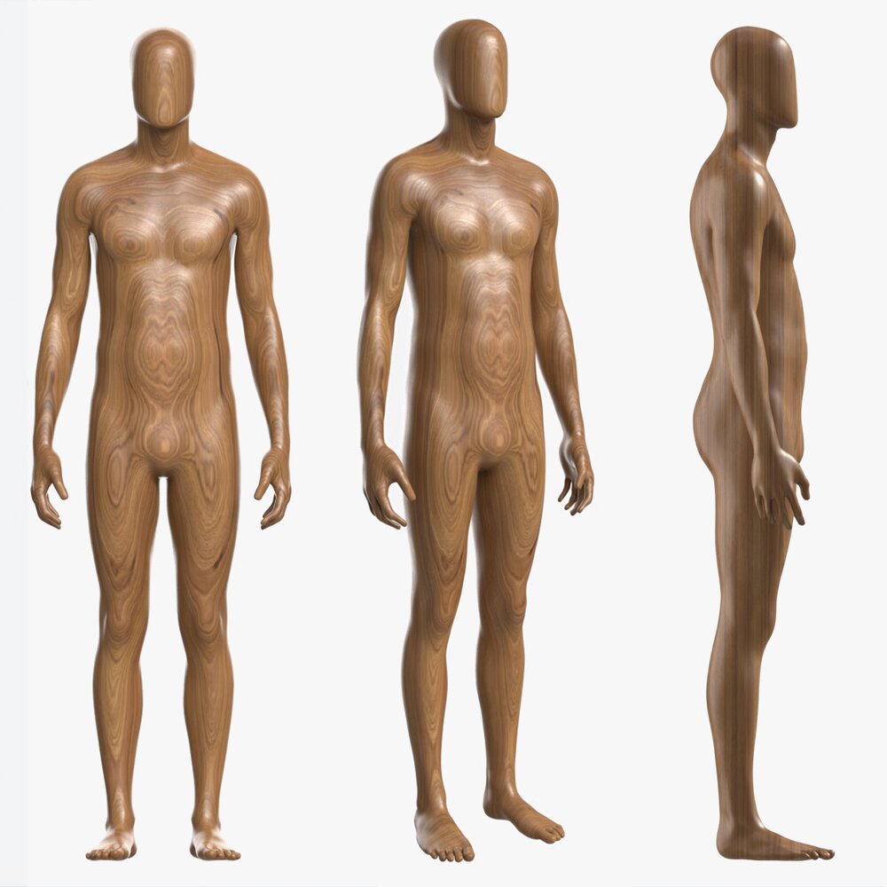 Male Full Body Mannequin Wooden 3D model