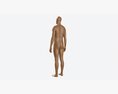 Male Full Body Mannequin Wooden Modello 3D