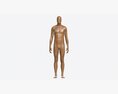 Male Full Body Mannequin Wooden Modelo 3D