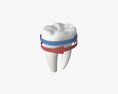 Tooth Molars With Arrow 02 Modelo 3D
