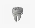 Tooth Molars With Arrow 02 3d model