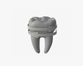 Tooth Molars With Arrow 02 Modèle 3d