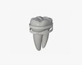 Tooth Molars With Arrow 02 Modello 3D