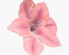 Artificial Lily Flower Modelo 3D
