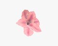 Artificial Lily Flower 3D 모델 