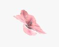 Artificial Lily Flower 3D-Modell