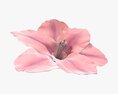 Artificial Lily Flower Modello 3D
