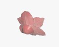 Artificial Lily Flower 3D 모델 