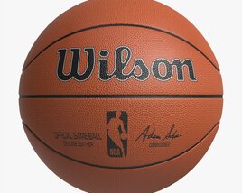 Basketball Official Game Ball Wilson Modelo 3D