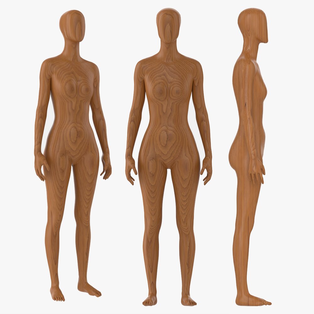 Female Mannequin Wooden Full Length 3D model