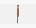 Female Mannequin Wooden Full Length 3D-Modell