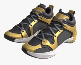 Low Basketball Shoes 3D модель