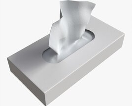 Tissue Box Rectangular Mockup Modelo 3d