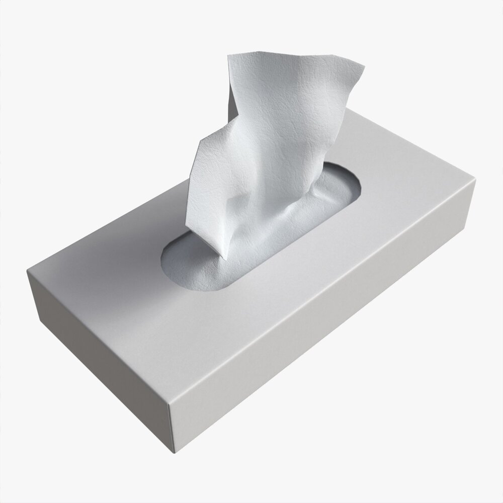 Tissue Box Rectangular Mockup Modelo 3D