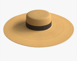 Wide Brim Straw Hat For Women 3D model
