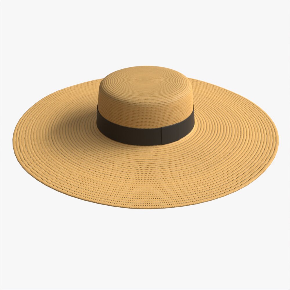 Wide Brim Straw Hat For Women 3D 모델 