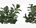 Artificial Ficus Plant In Pot Modelo 3D