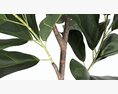 Artificial Ficus Plant In Pot 3d model