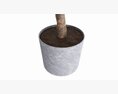 Artificial Ficus Plant In Pot 3D模型