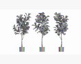 Artificial Ficus Plant In Pot 3D 모델 