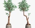Artificial Olive Tree With Plantpot 3D模型