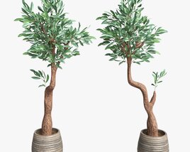 Artificial Olive Tree With Plantpot Modello 3D