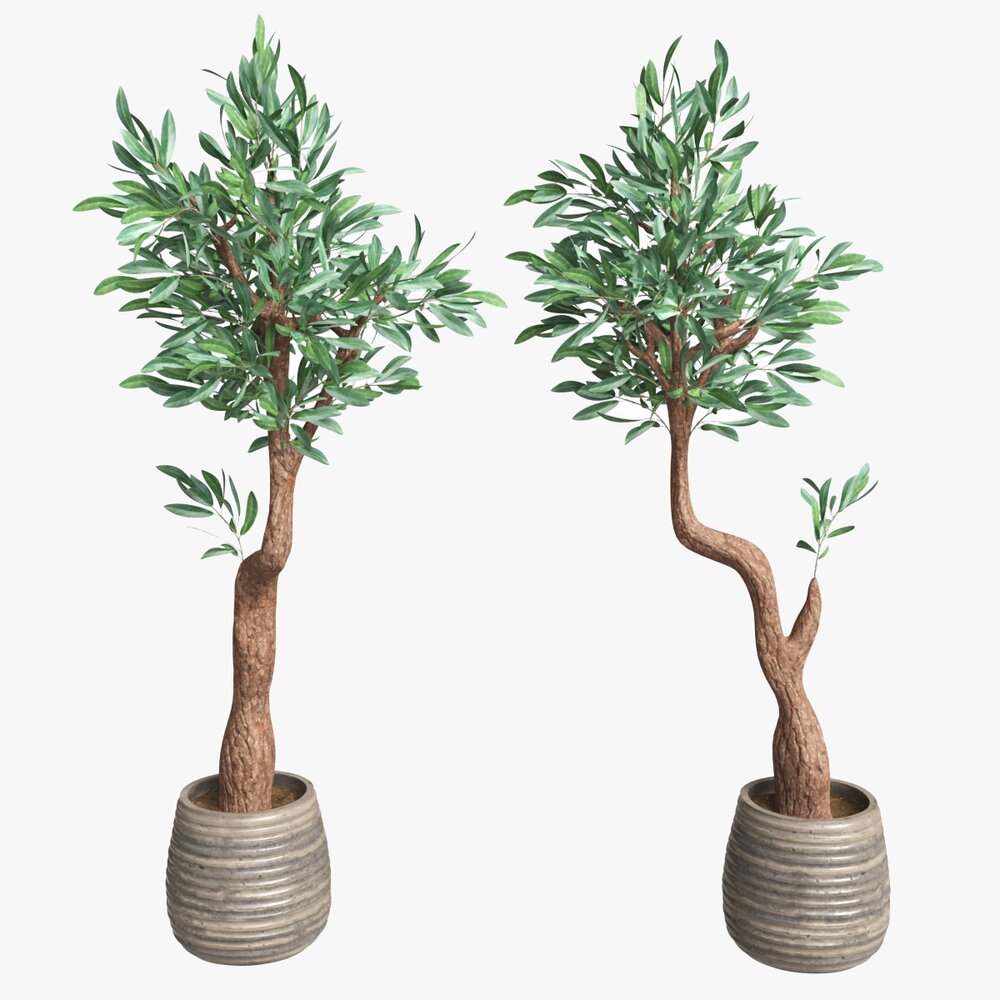 Artificial Olive Tree With Plantpot 3Dモデル