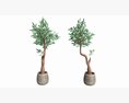 Artificial Olive Tree With Plantpot 3D-Modell