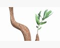 Artificial Olive Tree With Plantpot 3D модель