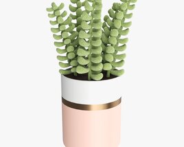 Artificial Sedum Lucidum Plant In Ceramic Pot 3D 모델 
