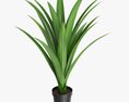Artificial Yucca Plant In Pot 3Dモデル
