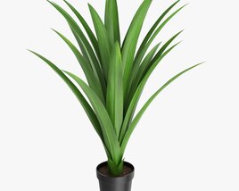 Artificial Yucca Plant In Pot 3D-Modell