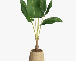 Baa Artificial Plant With Plantpot 3D модель