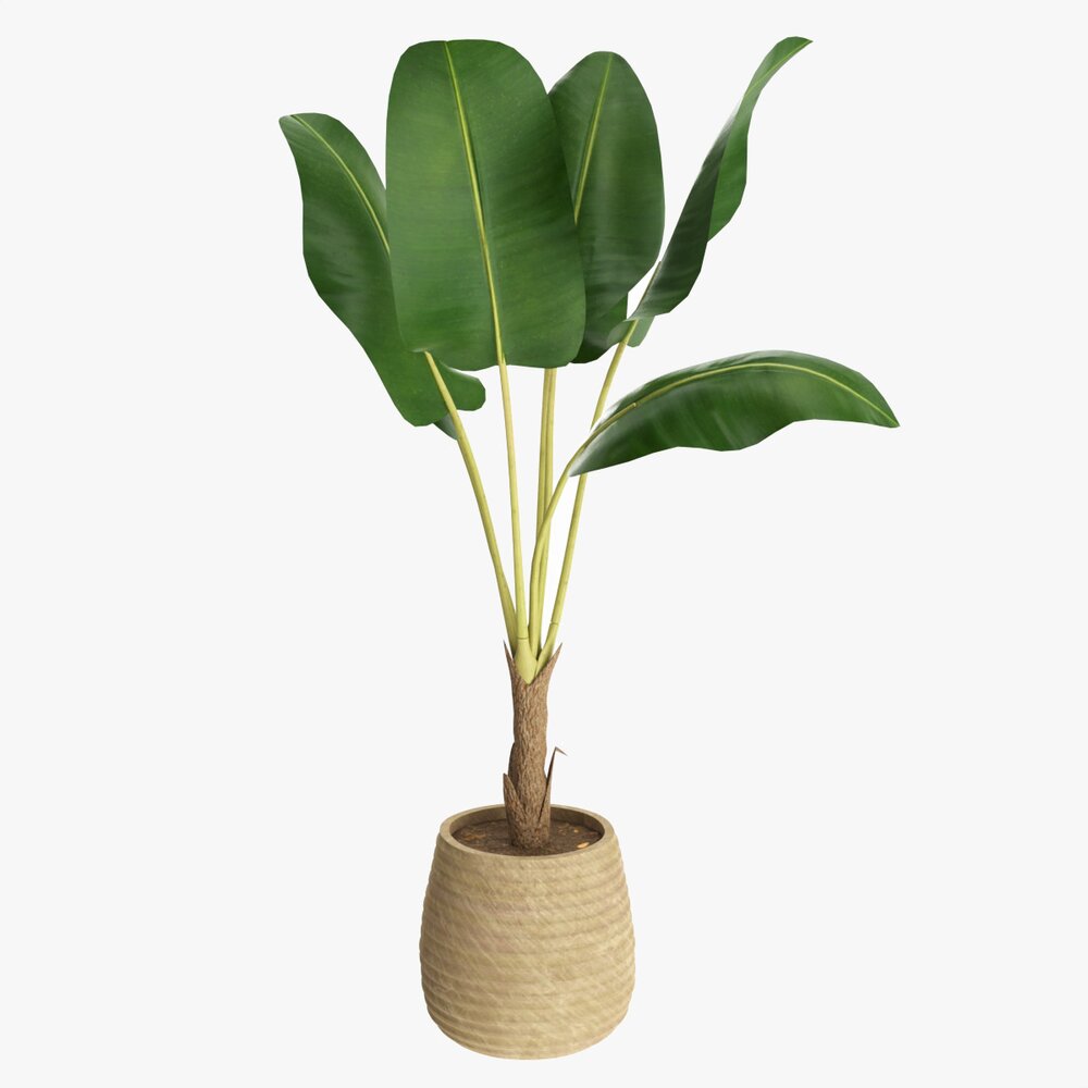 Baa Artificial Plant With Plantpot 3Dモデル