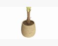Baa Artificial Plant With Plantpot 3D-Modell