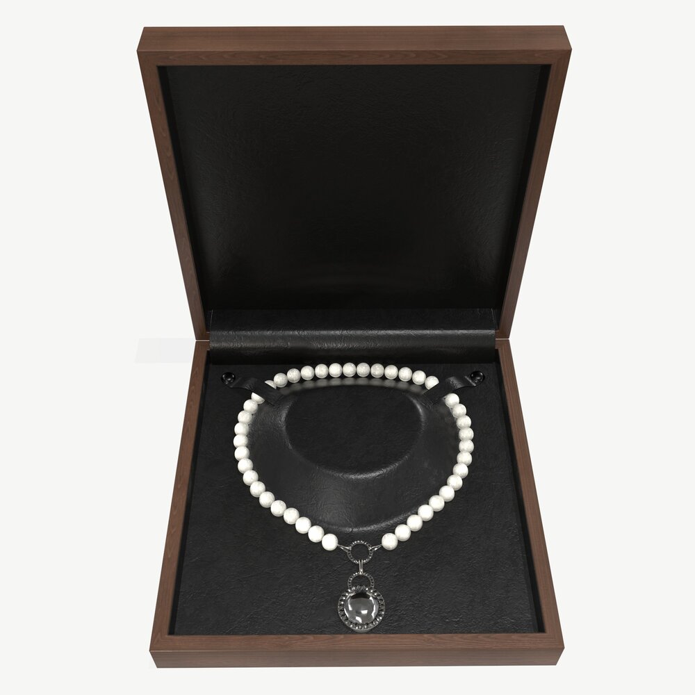 Jewel Box With Necklace Modèle 3D