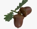 Dried Acorns With Leaf 3d model