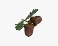 Dried Acorns With Leaf 3D 모델 