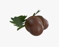 Dried Acorns With Leaf 3D-Modell