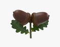 Dried Acorns With Leaf 3Dモデル
