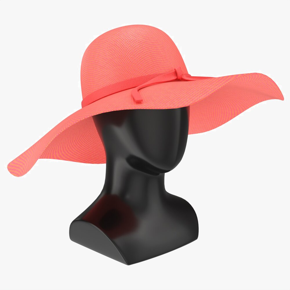 Store Display Mannequin Head With Floppy Hat Modello 3D