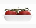 Tomatoes With Tray 01 3D-Modell
