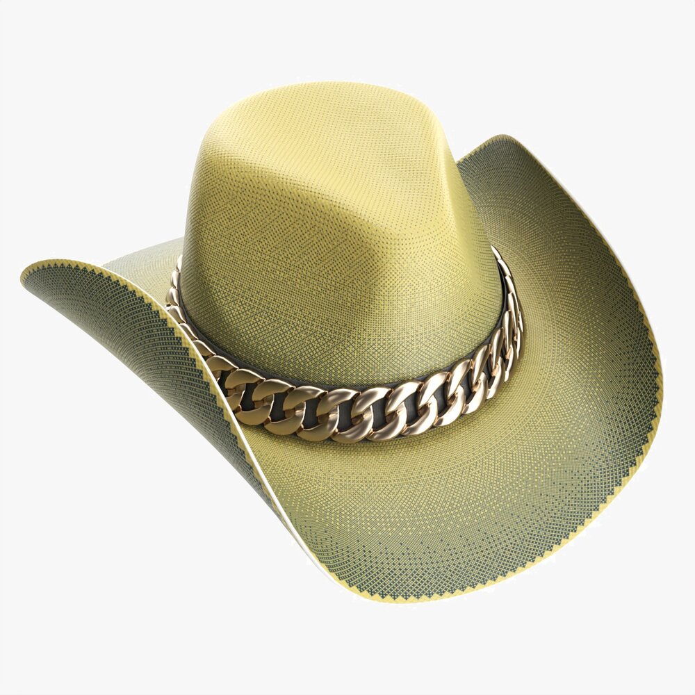 Woman Cowboy Fabric Hat With Curved Brims 3D 모델 
