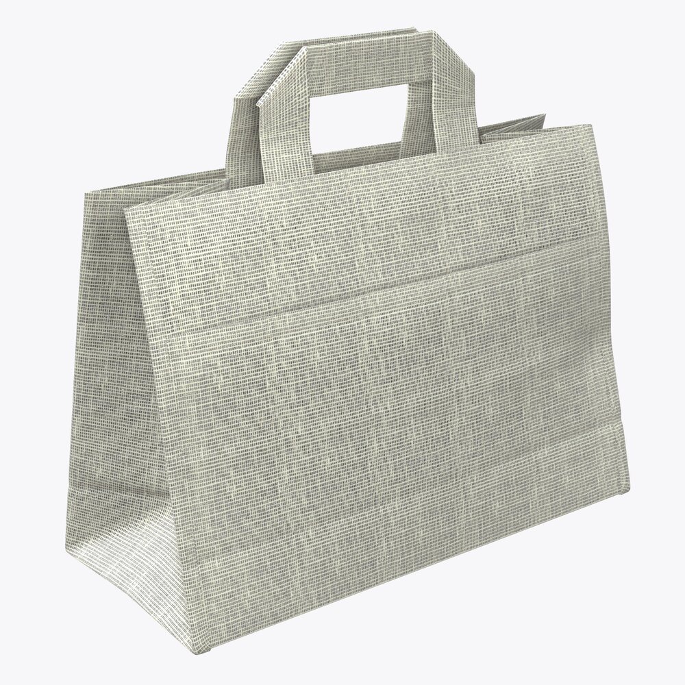 Fabric Bag Medium With Handle 3D model