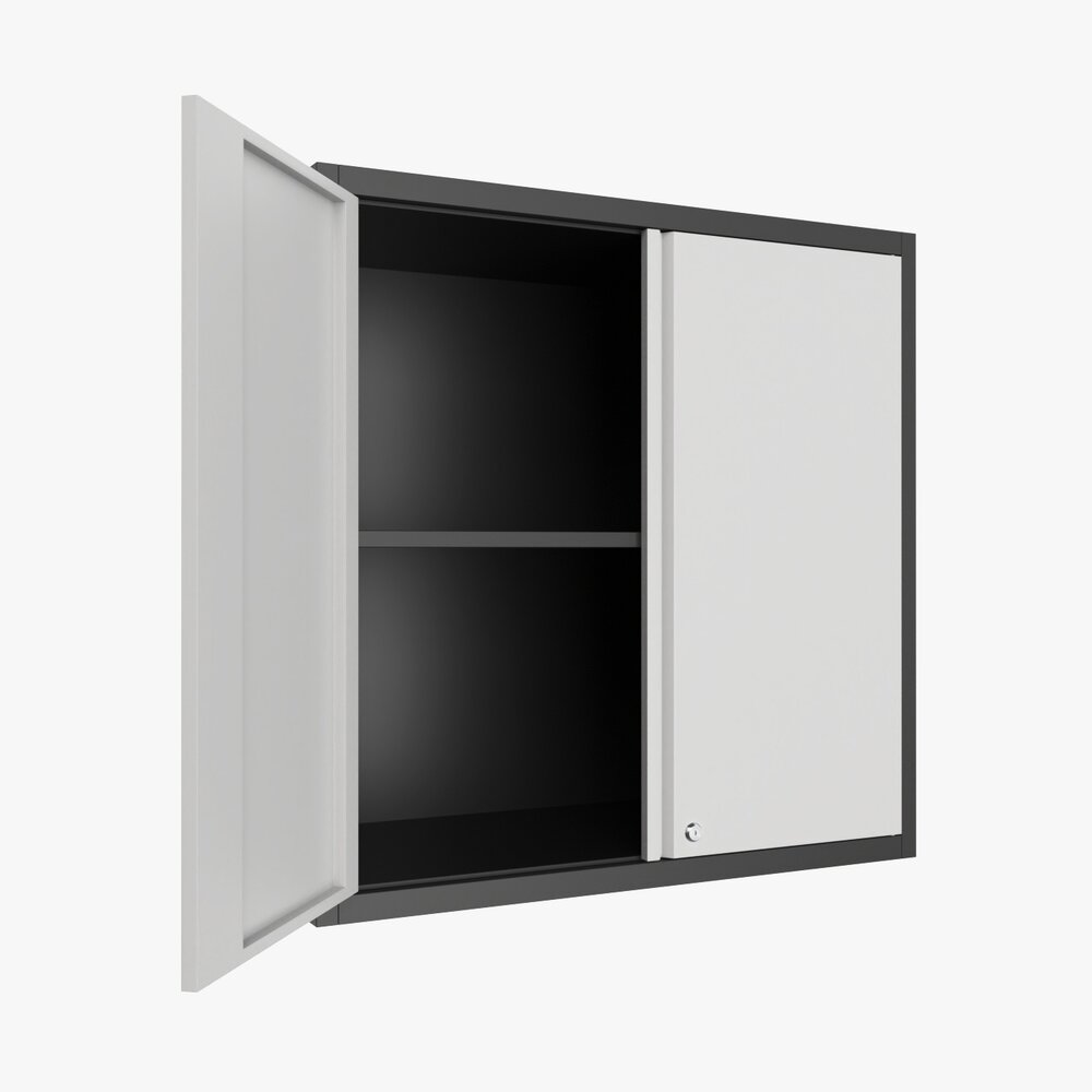 Metal Garage Wall Storage Cabinet With Lock 3D模型