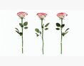 Single Beautiful Pink Rose Modèle 3d