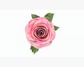 Single Beautiful Pink Rose Modelo 3d