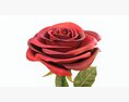 Single Beautiful Red Rose 3D модель