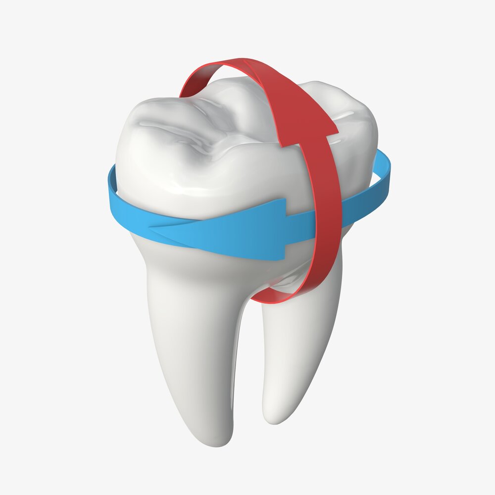 Tooth Molars With Arrow 01 Modelo 3D